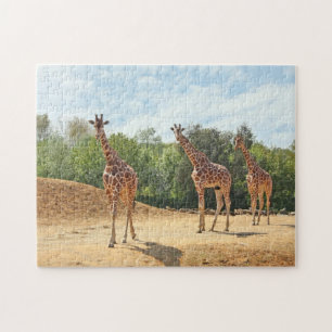 Giraffe Puzzle Legpuzzel