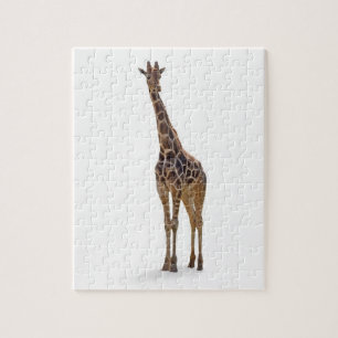Giraffe Puzzle Legpuzzel