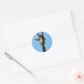 GIRAFFE RONDE STICKER (Envelop)