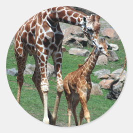Giraffe Ronde Sticker