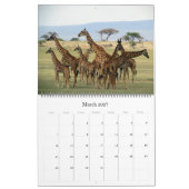 Giraffe Safari 2025 Grote kalender (Mar 2027)
