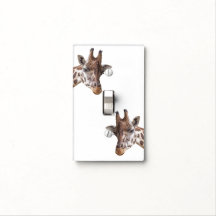 Giraffe Safari Dierenfoto's