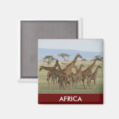 giraffe safari magneet (Voorkant / Achterkant)