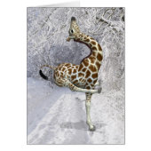 Giraffe Silencieuse En Hiver (Devant)