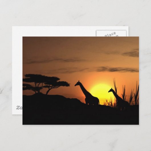 Giraffe Silhouette - Blank voor je eigen bericht Briefkaart (Voorkant / Achterkant)