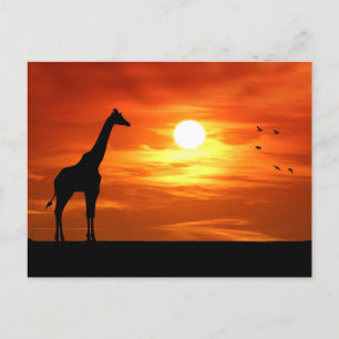 Giraffe Silhouette op Sunset Briefkaart