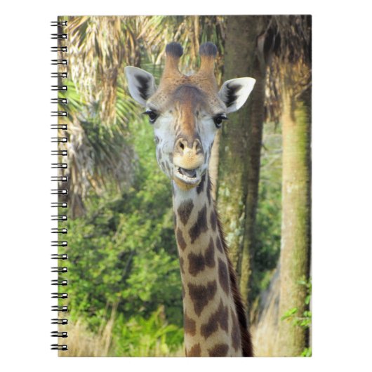 Giraffe Silly - 6,5 x 8,75 Carnets (Devant)