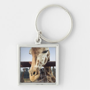 Giraffe Sleutelhanger