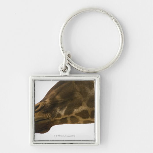 Giraffe, sluiten sleutelhanger (Voorkant)