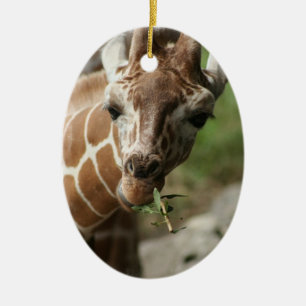 Giraffe Snack Ornament