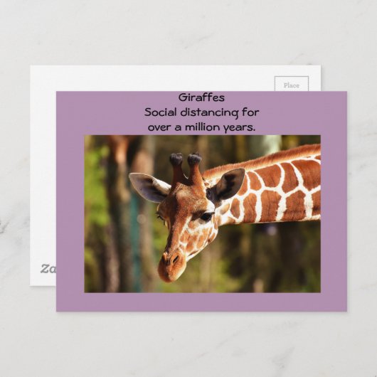 Giraffe Social Distancing Six Feet van Funnycomb Briefkaart (Voorkant / Achterkant)
