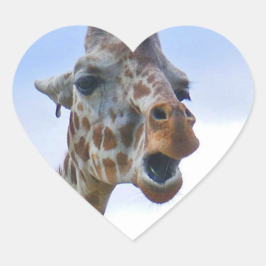 Giraffe Sticker (Voorkant)