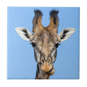 Giraffe Tegeltje