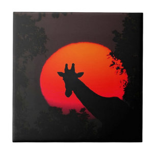 Giraffe Tegeltje