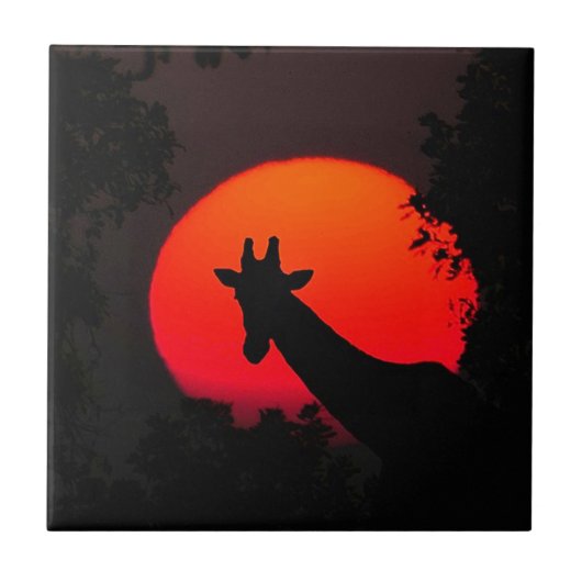 Giraffe Tegeltje (Voorkant)