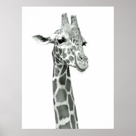 Giraffe Tekening Poster