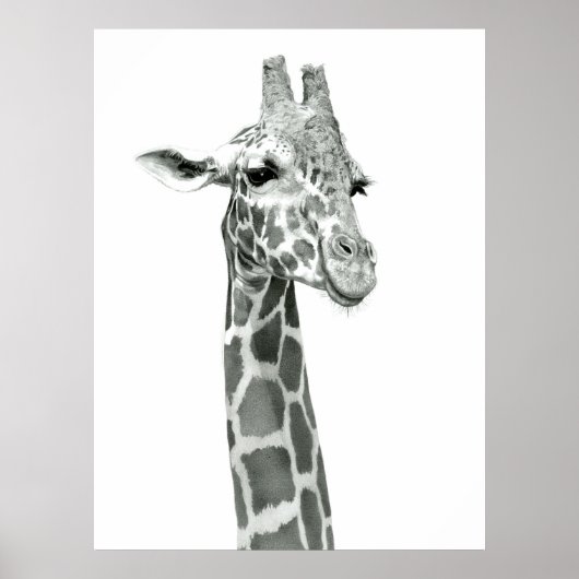 Giraffe Tekening Poster (Voorkant)