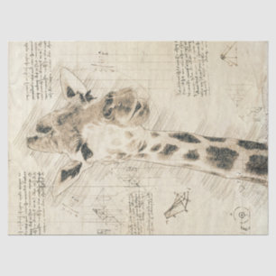  Giraffe Tekening Tissuepapier
