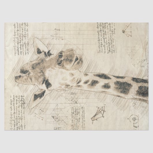  Giraffe Tekening Tissuepapier (Voorkant)