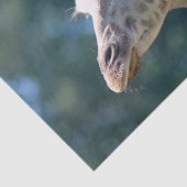 Giraffe Tissuepapier (Detail)