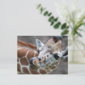 Giraffe Tongue Briefkaarten (Staand voorkant)