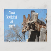 Giraffe Tongues Briefkaart (Voorkant)