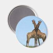 Giraffe Twins Magnet Magneet (Voorkant / Achterkant)