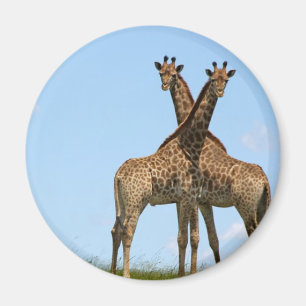 Giraffe Twins Magnet Magneet