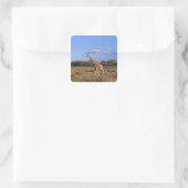 Giraffe Vierkante Sticker (Tas)