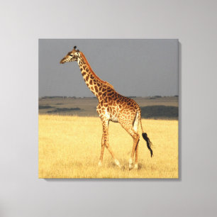 Giraffe volledig lichaam Afrikaanse dieren Canvas Afdruk