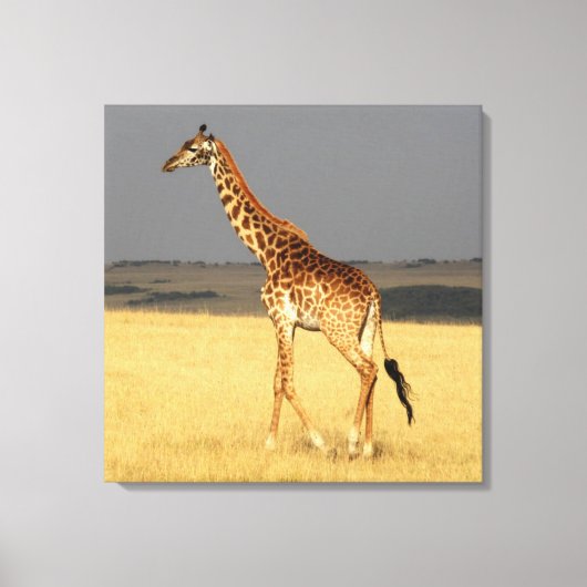 Giraffe volledig lichaam Afrikaanse dieren Canvas Afdruk (Voorkant)