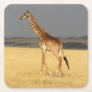 Giraffe volledig lichaam Afrikaanse dieren Vierkante Kartonnen Onderzetter