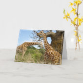 Giraffe Wenskaart Kaart (Gele Bloem)