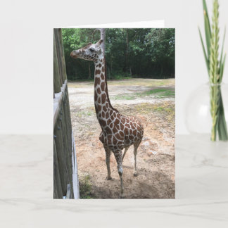 Giraffe wenskaart (Wat is er?) Kaart