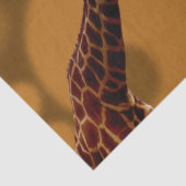 Giraffe zelfreflectie, tissuepapier (Detail)