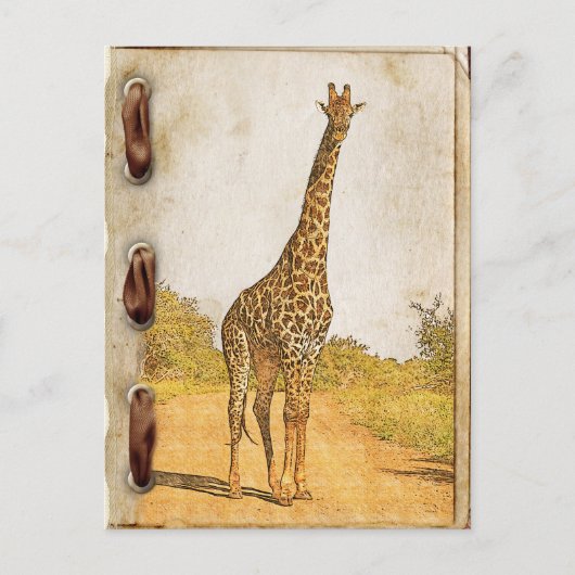 Giraffe, Zuid-Afrika Briefkaart (Voorkant)