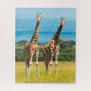 Giraffen in de savanne, Oeganda Legpuzzel