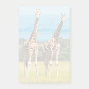 Giraffen in de savanne, Oeganda Post-it® Notes