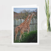 Giraffen in het park kaart (Voorkant)