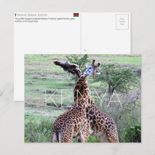 Giraffen in Masai Mara, Kenia Reisansichtkaart Briefkaart