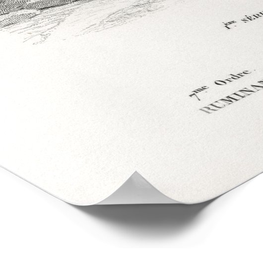 Giraffendruk Poster (Hoek)