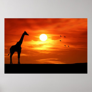 Giraffensilhouet bij zonsondergang poster