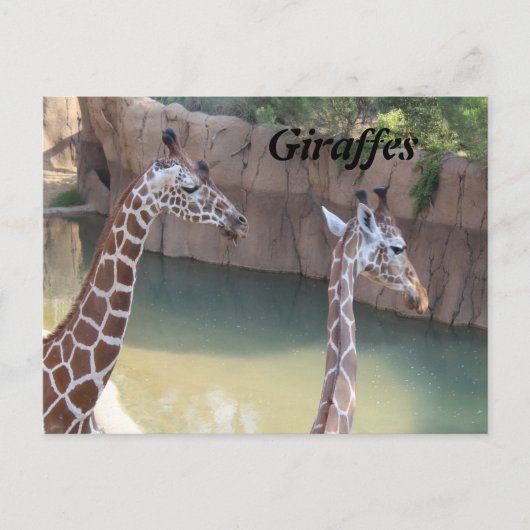GIRAFFES # 2 BRIEFKAART (Voorkant)