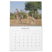 GIRAFFES a Calendrier 2019 (Jan 2027)
