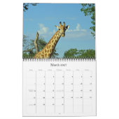 GIRAFFES a Calendrier 2019 (Mar 2027)