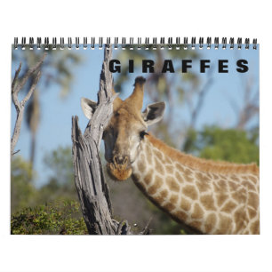 GIRAFFES a Calendrier 2019