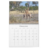 GIRAFFES a Calendrier 2019 (Feb 2026)