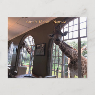 Giraffes bij de Giraffe Manor in Nairobi Briefkaart