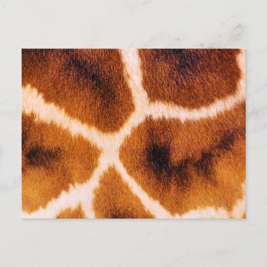 GIRAFFES BRIEFKAART (Voorkant)
