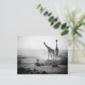 Giraffes Briefkaart (Staand voorkant)
